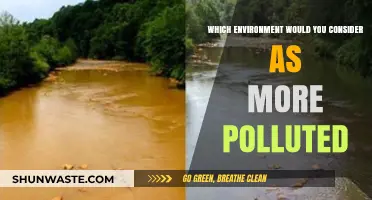 Air or Water: Which Environment is More Polluted?