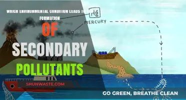 How Environmental Conditions Create Secondary Pollutants