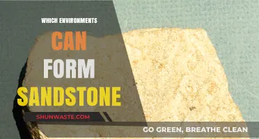 Exploring the Diverse Environments That Naturally Form Sandstone