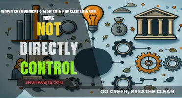 Uncontrollable Environmental Factors: Navigating External Segments and Elements for Firms