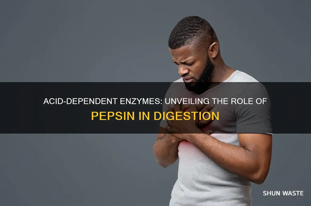 which enzyme requires an acidic environment to work