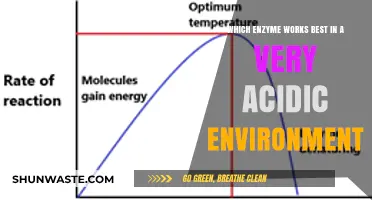 Optimal Enzyme Performance in Extreme Acidity: Unlocking Acidic Environments