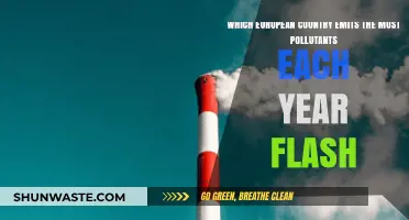 European Pollutant Emissions: Which Country Leads?