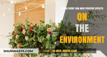 Eco-Friendly Gatherings: Events That Positively Impact Our Environment