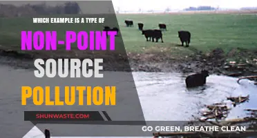 How Non-Point Source Pollution Impacts Our Environment
