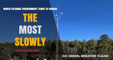 The Enduring Stability of the Physical Environment: A Slow-Changing External Force