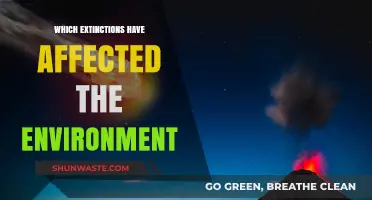 Environmental Impacts of Major Extinctions: A Historical Overview