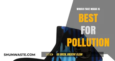 Face Masks: Protecting Yourself from Pollution