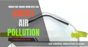Face Masks for Smoky Air: What Works?