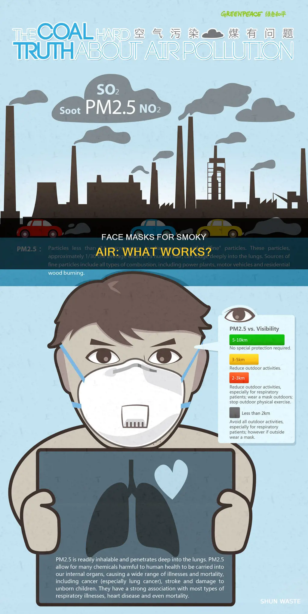 which face masks work best for smoky air pollution