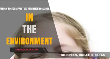 Environmental Stimuli: Key Factors Influencing Human Attention and Focus