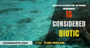 Biotic Factors: Key Marine Environment Impacts Explained