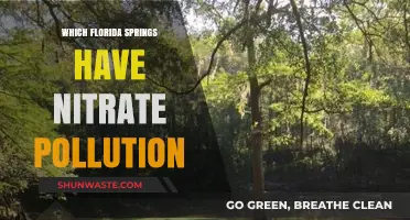 Florida Springs: Nitrate Pollution's Impact