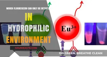 Hydrophilic Fluorescein Detection: Unveiling Environment-Specific Fluorescence Properties