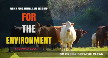 Eco-Friendly Eating: Sustainable Food Animals with Lower Environmental Impact