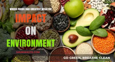 The Environmental Cost: Foods Harming Our Planet the Most