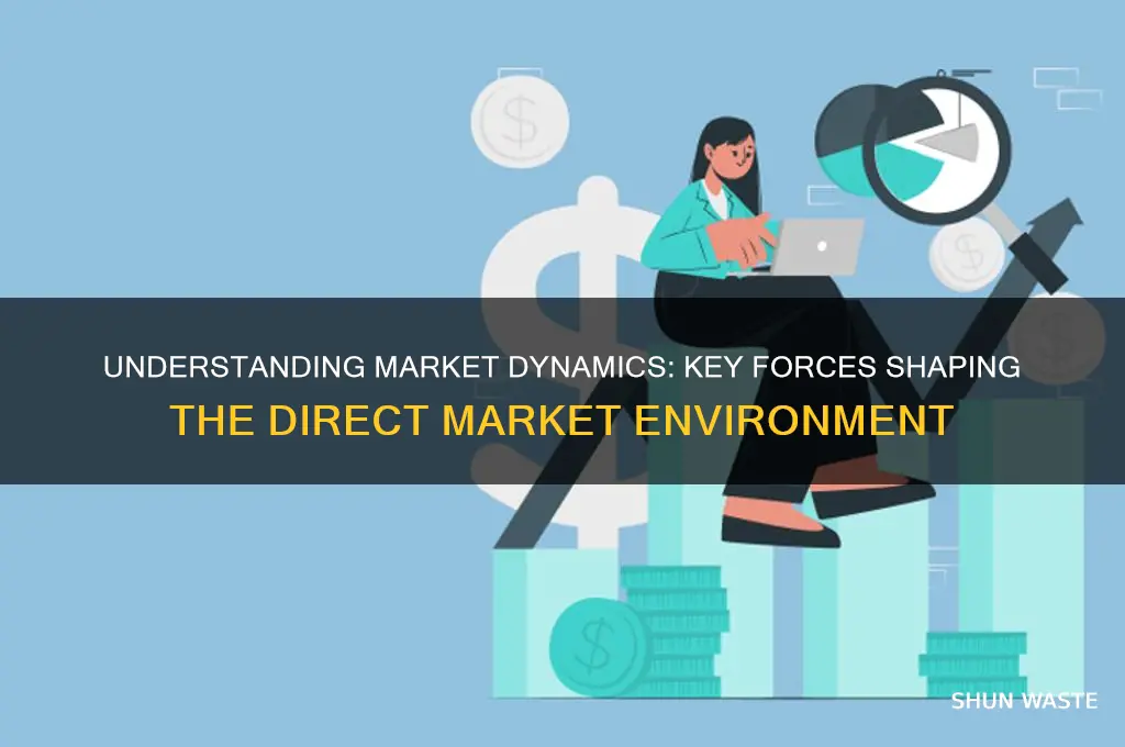 which force helps shape the direct market environment