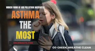 Air Pollution and Asthma: What's the Worst Offender?