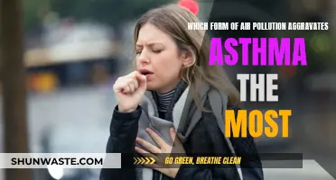 Asthma and Air Pollution: What's the Worst Offender?