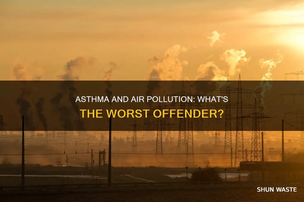 which form of air pollution aggravates asthma the most