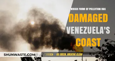 Oil Pollution: Venezuela's Coastal Crisis