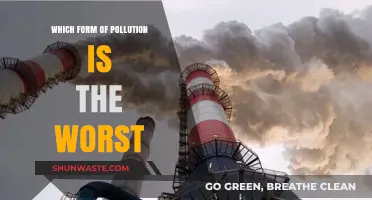 The Most Dangerous Form of Pollution Revealed