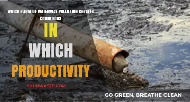Waterway Pollution: Impact on Aquatic Productivity