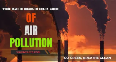Fossil Fuels and Their Impact: Air Pollution's Worst Offenders
