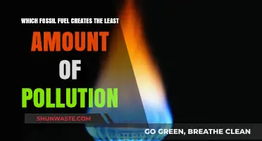 Fossil Fuels: Which Pollutes the Least?