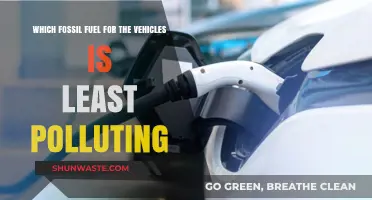 Greenest Vehicle Fossil Fuels: Which is Least Polluting?