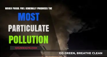 Particulate Pollution: The Dirtiest Fossil Fuel