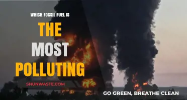 The Dirtiest Fossil Fuel: A Climate Change Culprit