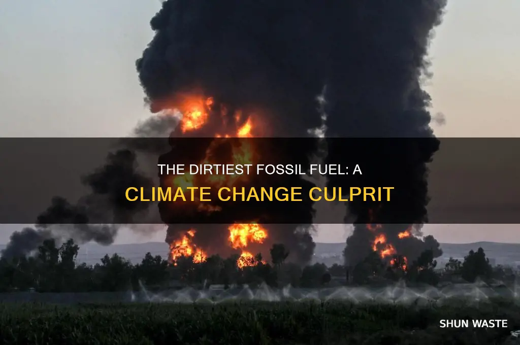 which fossil fuel is the most polluting