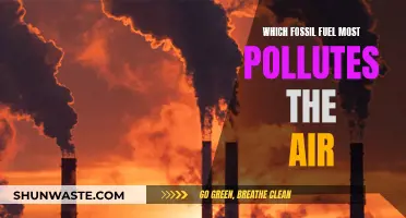 Fossil Fuel's Air Pollution: The Worst Offender