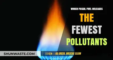 Fossil Fuels: Which Pollutes the Least?