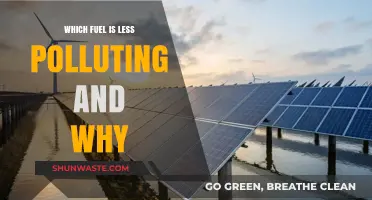 Cleanest Fuel: Why Some Energy Sources Are Greener