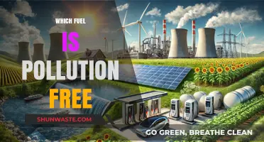 Green Energy: Pollution-Free Fuels for a Sustainable Future