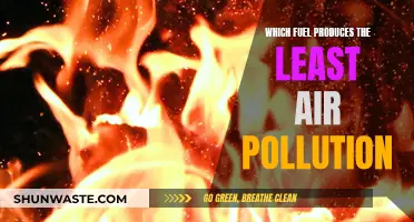 Cleanest-Burning Fuels: Reducing Air Pollution's Impact