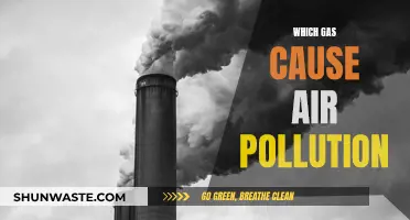 Understanding Air Pollution: Gases and Their Effects