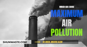Deadly Gas: Air Pollution's Main Culprit