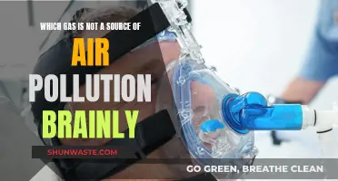 Oxygen: The Life-Sustaining, Pollution-Free Gas