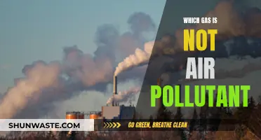 Gases That Are Not Air Pollutants: What's Safe to Breathe?
