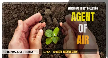 The Clean Air Gas: Natural Solution or Problem?