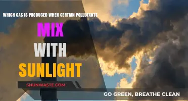 Sunlight and Pollutants: A Recipe for Harmful Gas