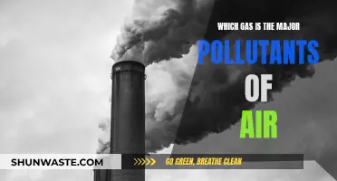 Air Pollutants: The Major Gases to Watch Out For