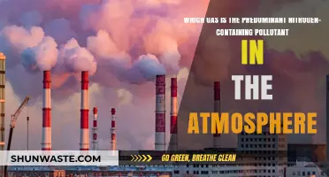 Nitrogen Pollution: Which Gas is the Main Culprit?