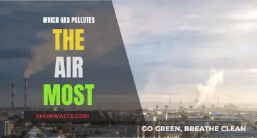 Air Pollutants: The Most Harmful Gas Emission Sources