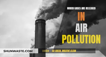 Air Pollution: Gases Released and Their Impact