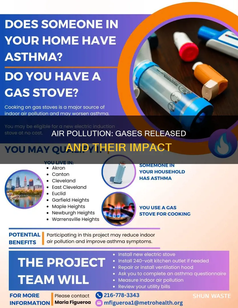 which gases are released in air pollution