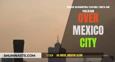 Mexico City's Air Pollution Trap: The Valley's Curse